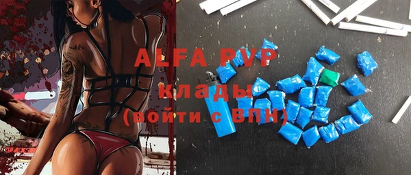 индика Аркадак