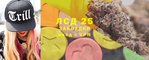 индика Аркадак