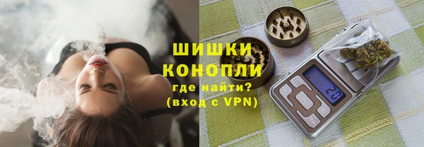 индика Аркадак