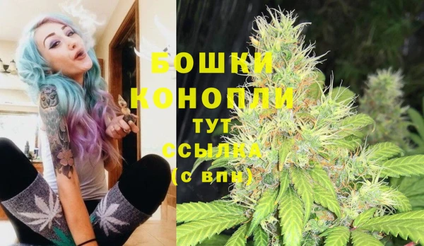индика Аркадак